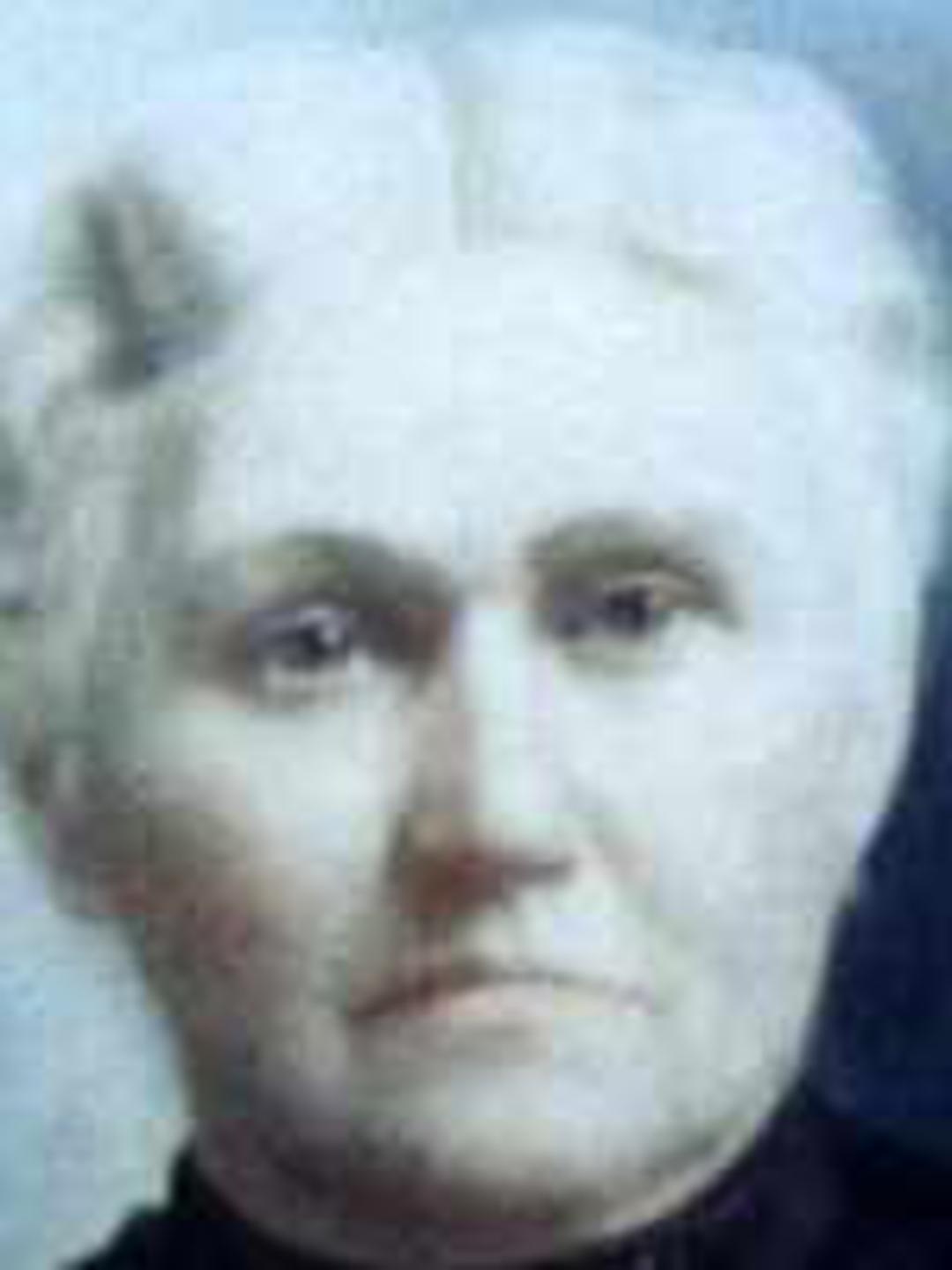 Nancy Malinda Whitaker (1838 - 1909) Profile